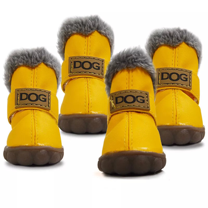 🎁 LittleDogsLife – Waterproof Small Dog Booties(Free Gift) (100% off)