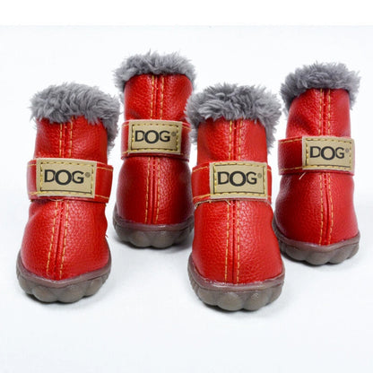 🎁 LittleDogsLife – Waterproof Small Dog Booties(Free Gift) (100% off)