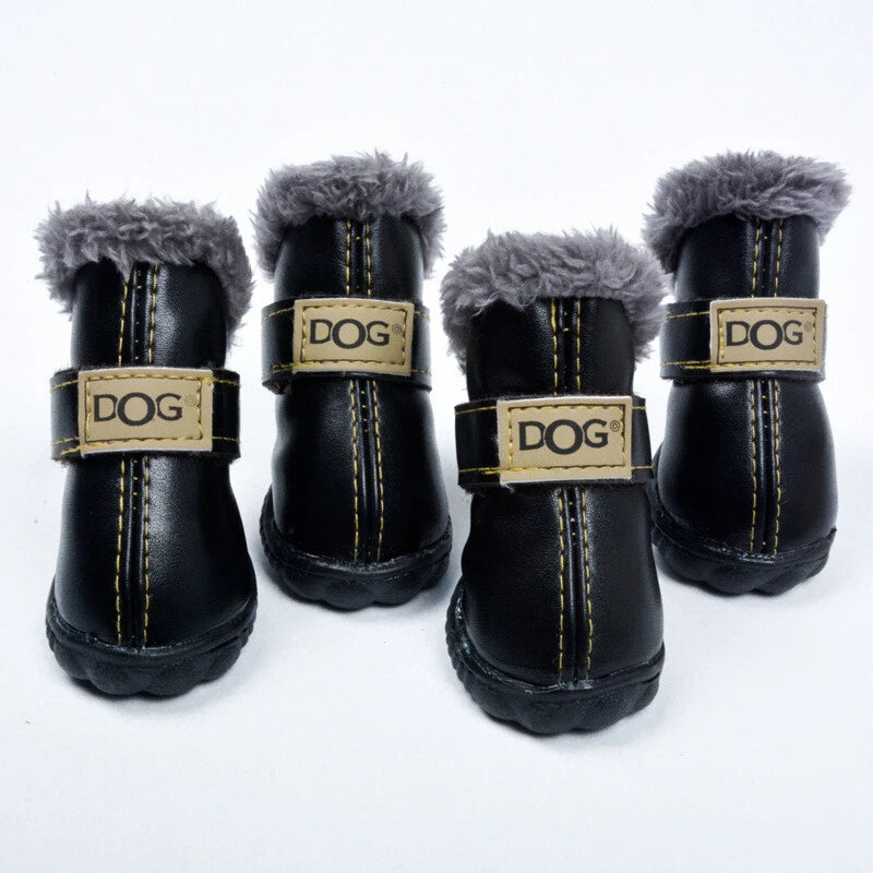 🎁 LittleDogsLife – Waterproof Small Dog Booties(Free Gift) (100% off)