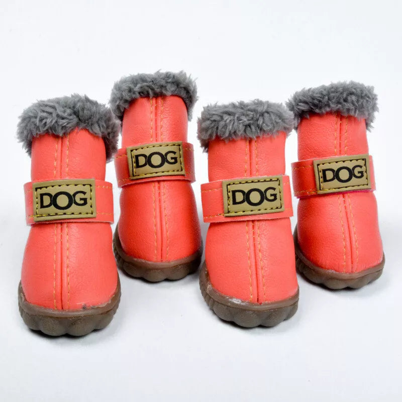 🎁 LittleDogsLife – Waterproof Small Dog Booties(Free Gift) (100% off)